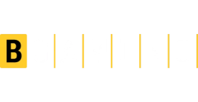 partners who work with Zapak